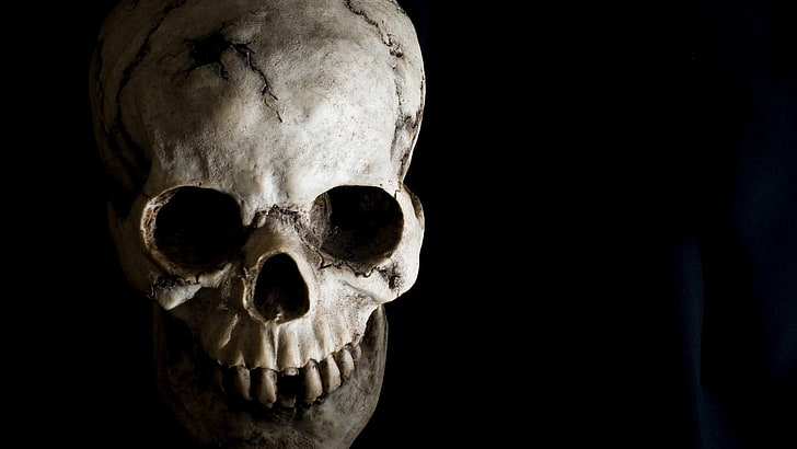 gray skull photo, black, human skeleton, human skull, human bone, HD wallpaper