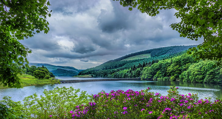 pink outdoor flowers beside river during daytime, ladybower reservoir, ladybower reservoir HD wallpaper