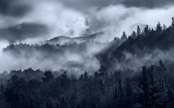 trees, mist, clouds, mountains, monochrome, nature, sun rays