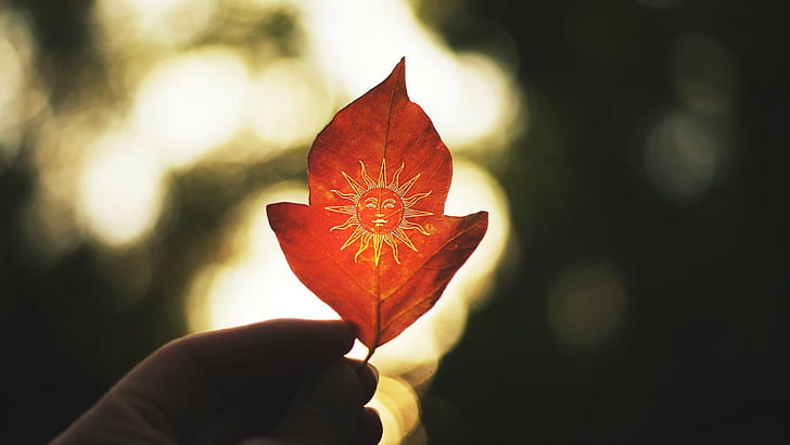 leaves, red leaves, hands, drawing, Sun, HD wallpaper