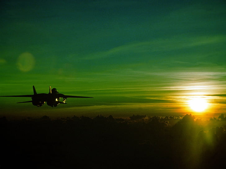 Grumman F-14 Tomcat, sunset, green, jet fighter, aircraft