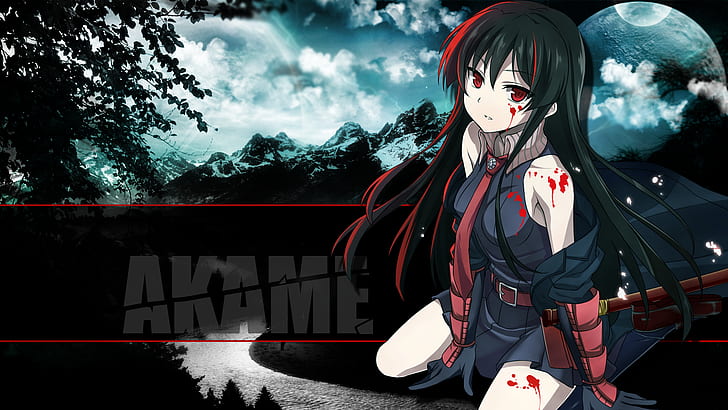 black haired woman anime character wallpaper, Akame ga Kill!, HD wallpaper