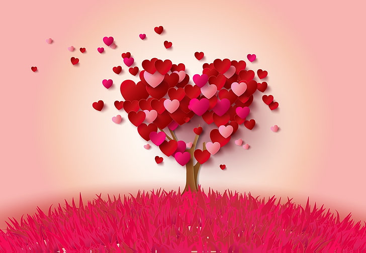 love image best  for desktop background, red, plant, heart shape, HD wallpaper