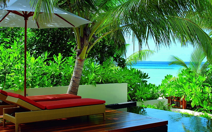hotel, palm trees, tropical, beach umbrella, sea, plant, chair, HD wallpaper