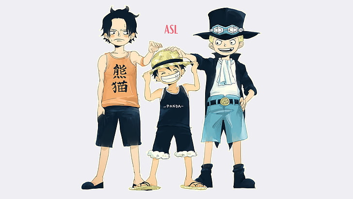One Piece Ace, Luffy, Sabo illustration, Anime, Monkey D. Luffy, HD wallpaper