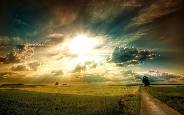 Plains landscape, grass, fields, road, tree, sky clouds, sun rays