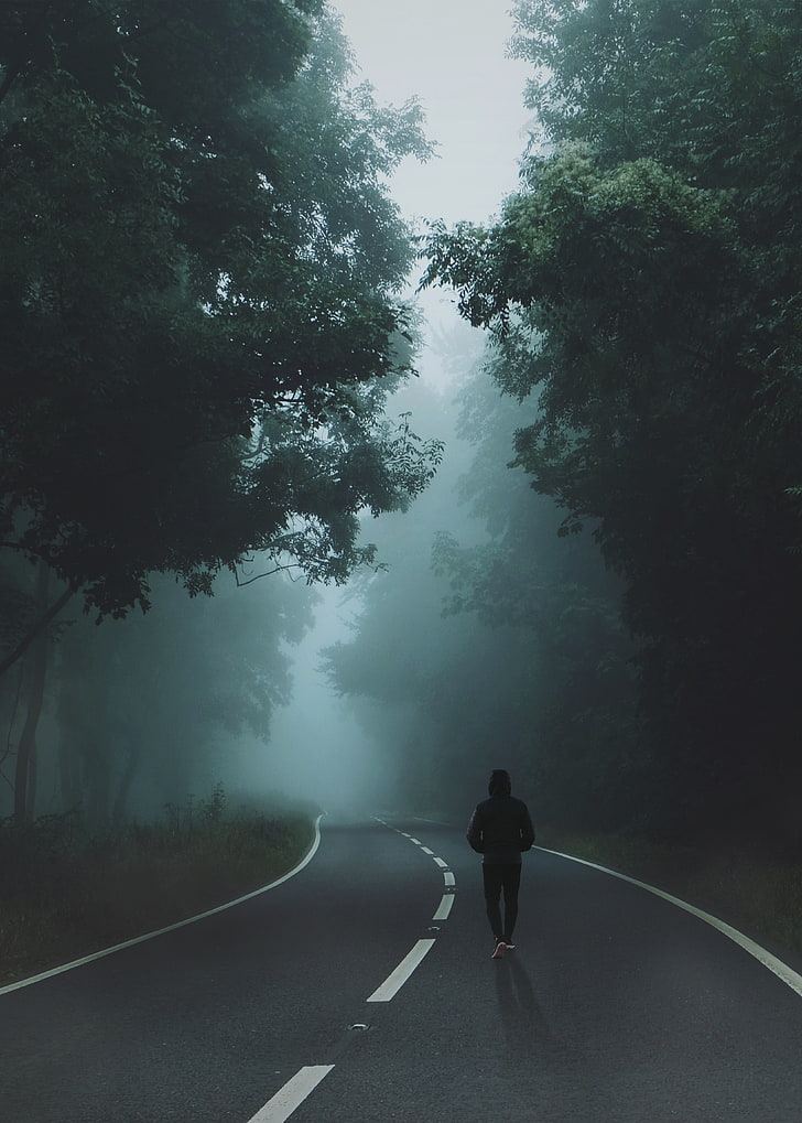 person's black hoodie and black pants outfit, mist, road, forest