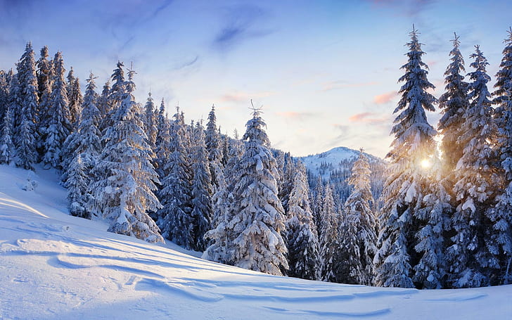 Nature Landscapes Trees Forest Mountains Winter Snow Seasons Sun Sunlight Sky Clouds White Cold Best