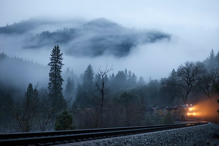nature, winter, trees, railway, train, lights, mist, forest, HD wallpaper