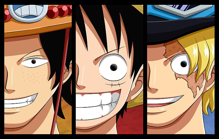 Anime, One Piece, Black Hair, Monkey D. Luffy, Pirate, Portgas D. Ace