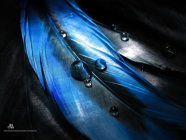 blue and black inflatable boat, digital art, feathers, close-up, HD wallpaper