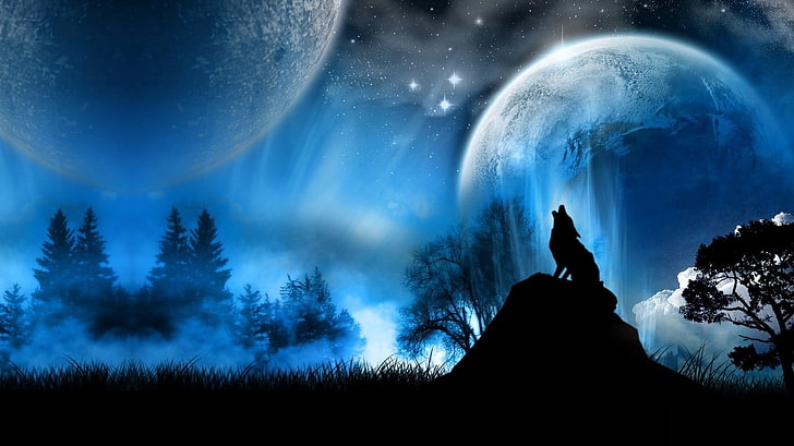silhouette photo of howling wolf, animals, fantasy art, night