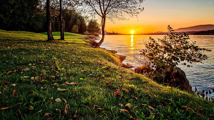 burnaby lake regional park, british columbia, canada, sunset, HD wallpaper