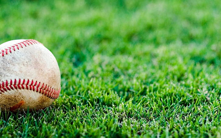 grass, baseball, depth of field, sport, outdoors, HD wallpaper