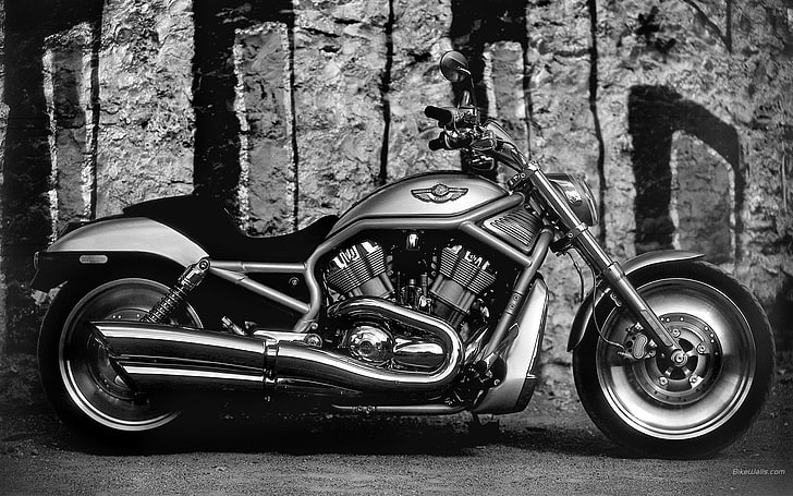 harley davidson motorbikes harleydavidson 1920x1200  Motorcycles Harley Davidson HD Art, HD wallpaper