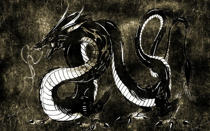 artwork, dragon, fantasy art