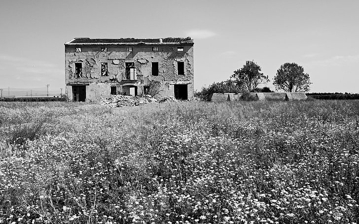 white and black concrete building, dark, ruin, monochrome, flowers