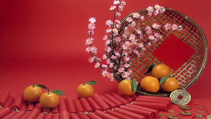simple background, orange, flowers, plants, HD wallpaper