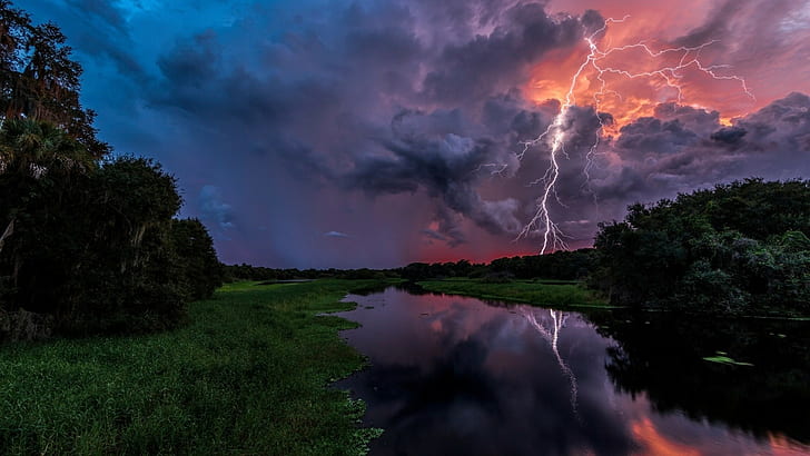 reflection, grass, forest, Florida, storm, clouds, trees, USA, HD wallpaper