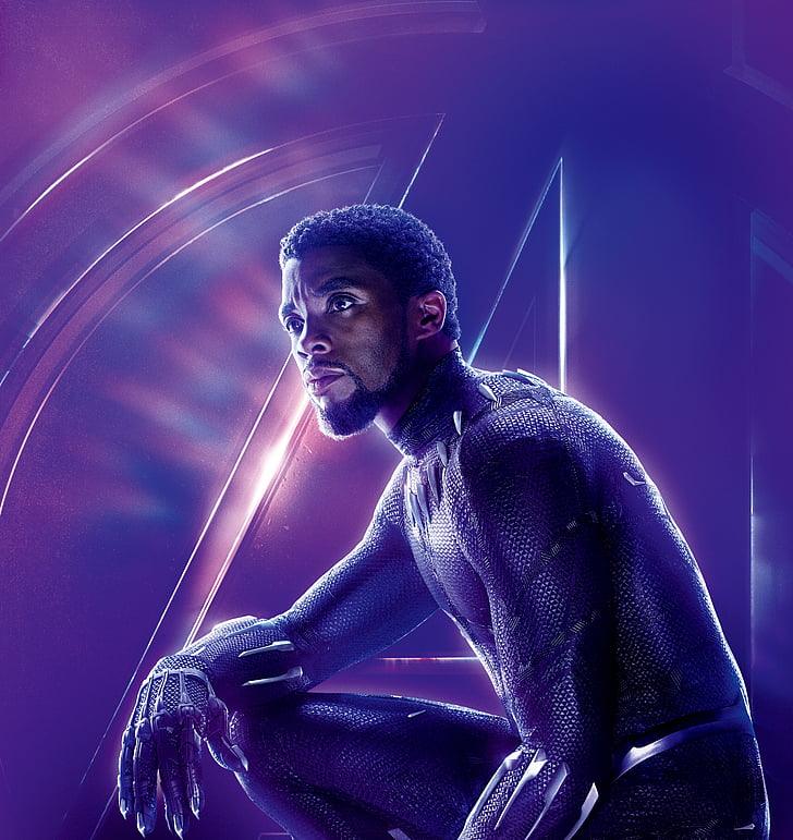 Black Panther, Avengers: Infinity War, Chadwick Boseman, T'Challa, HD wallpaper