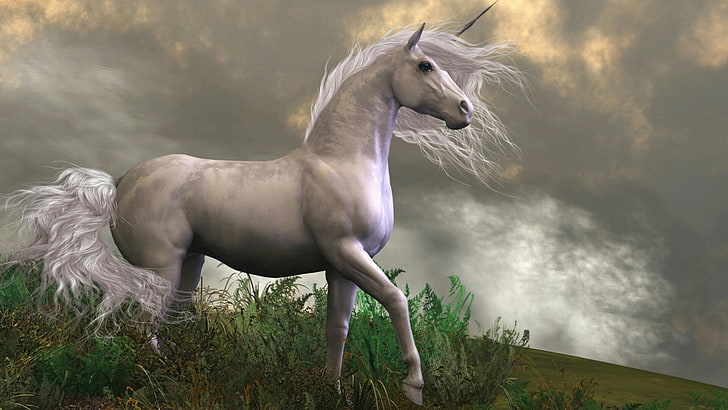 unicorn, horse, dreamland, dreamy, fantasy art, fairy tale, HD wallpaper