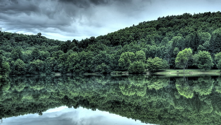 body of water, wood, trees, coast, clouds, summer, reflexion