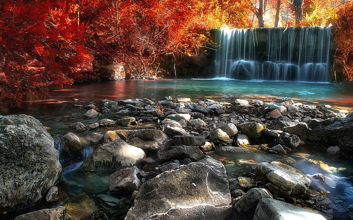 waterfalls between trees wallpaper, waterfalls and forests, nature, HD wallpaper