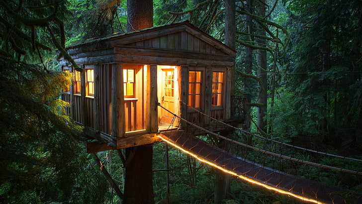 brown wooden treehouse, turn on light of house tree, tree house