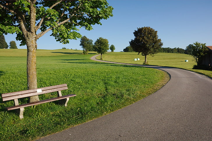 brown wooden bench, summer, road, trees, benches, nature, grass, HD wallpaper