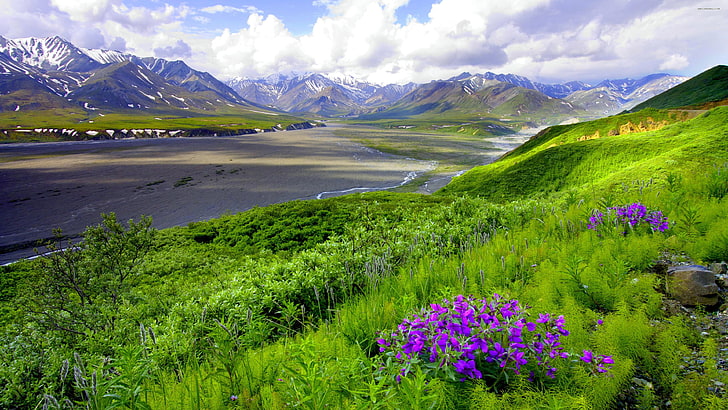 Landscape River Mountain Field With Purple Flowers, Wallpaper Hd 3840×2160