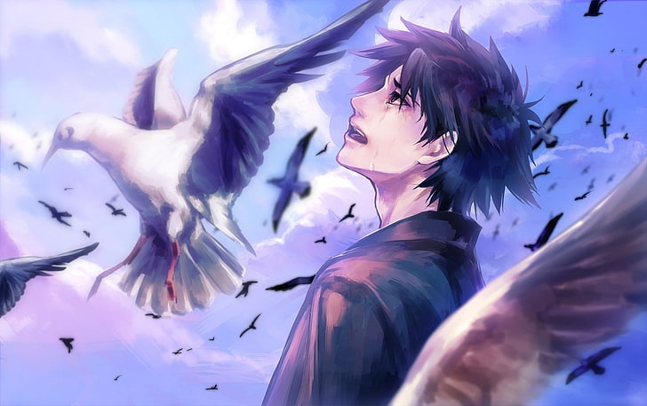 HD wallpaper: animal, anime, birds, boy, cry, sky | Wallpaper Flare