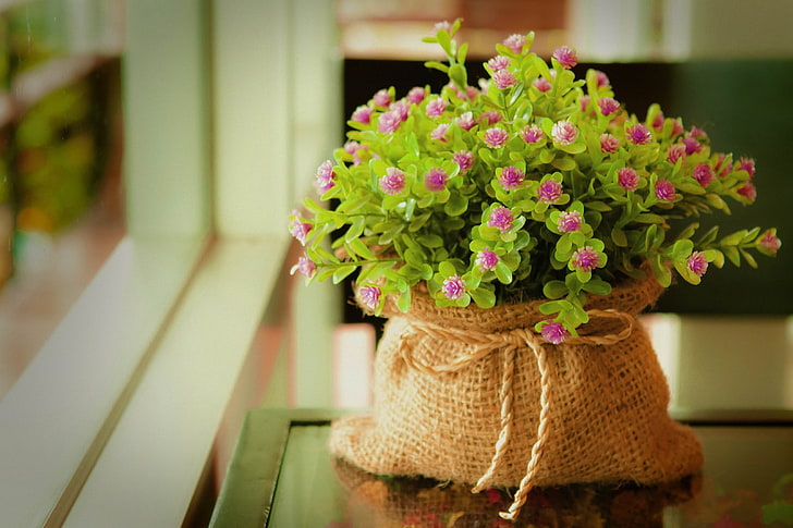 bag, window, window sill, flowers, purple flowers, ropes, plant HD wallpaper