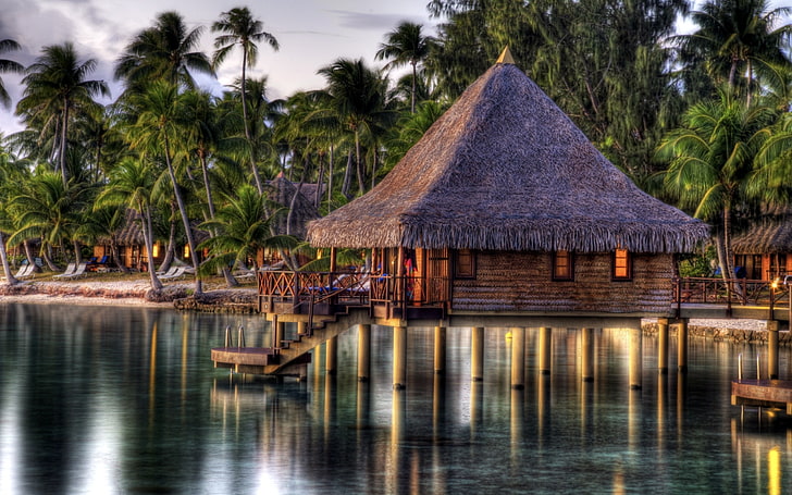 HDR, palm trees, tropical climate, water, plant, thatched roof, HD wallpaper