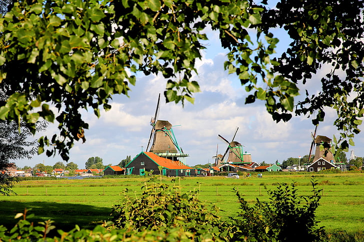 grass, trees, house, Netherlands, windmill, The Zaanse Schans, HD wallpaper