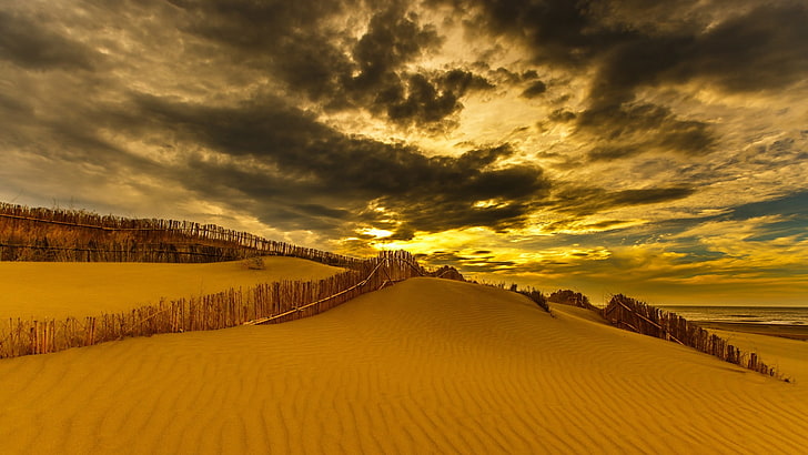 nature, landscape, clouds, desert, dune, sand, Sun, plants, HD wallpaper