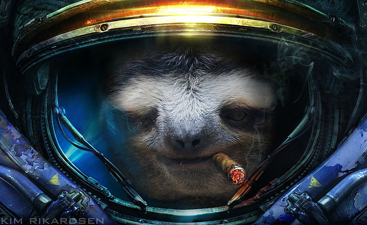 sloth astronaut illustration, Starcraft II, sloths, cigars, humor