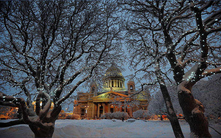 Wallpaper Winter Church Trees Snow St Petersburg,peterhof,russia