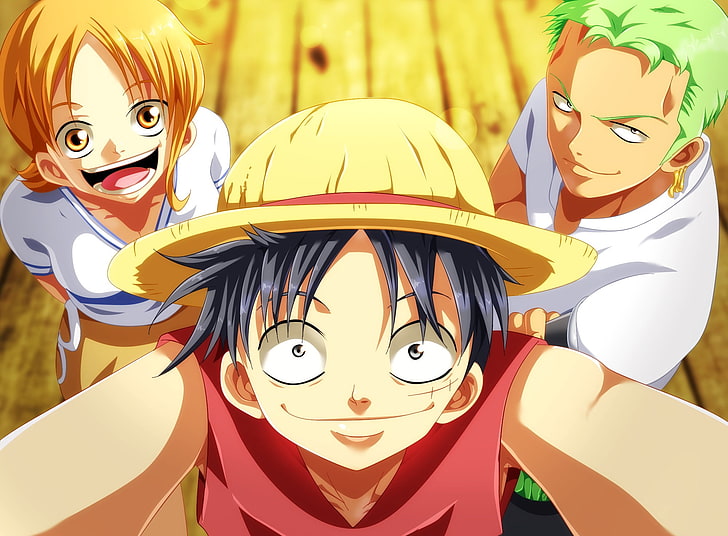 One Piece, Nami, Roronoa Zoro, Monkey D. Luffy, representation, HD wallpaper