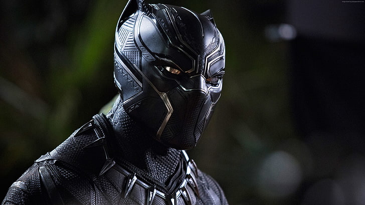 Chadwick Boseman, 4K, Black Panther, protection, security, disguise