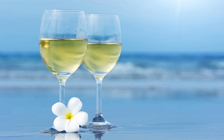 two clear wine glasses, sea, flower, blur, beach, summer, vacations
