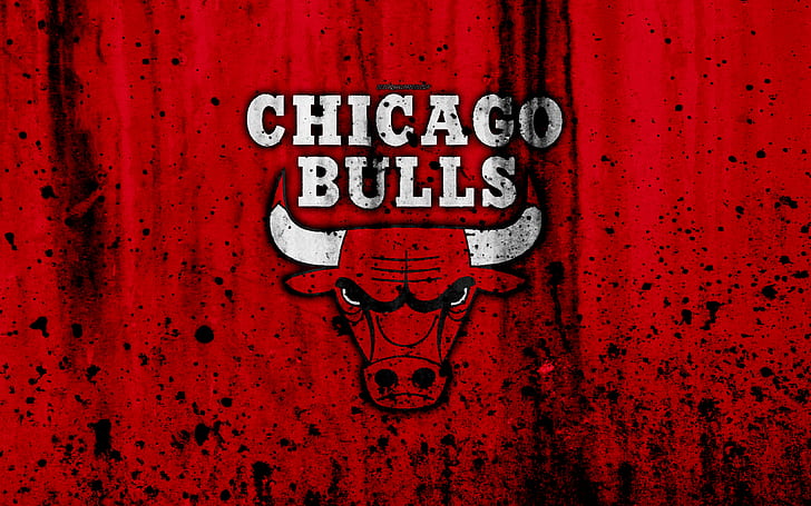 Chicago Bulls logo  Chicago bulls wallpaper, Chicago bulls