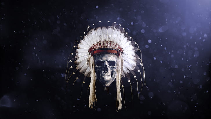 headband, feathers, Native American clothing, skull