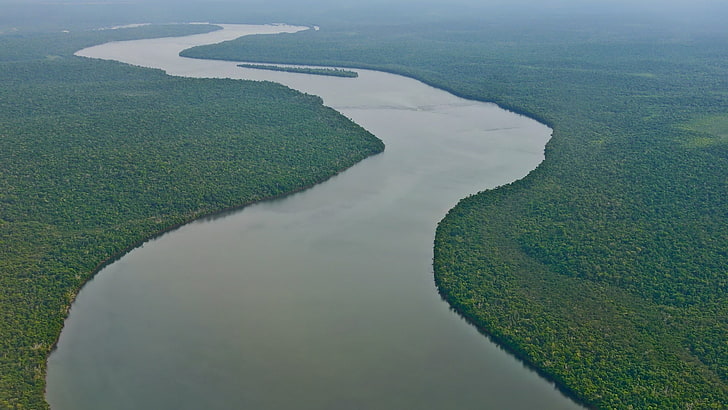 amazon, forest, landscape, nature, river, Tropical Forest, water