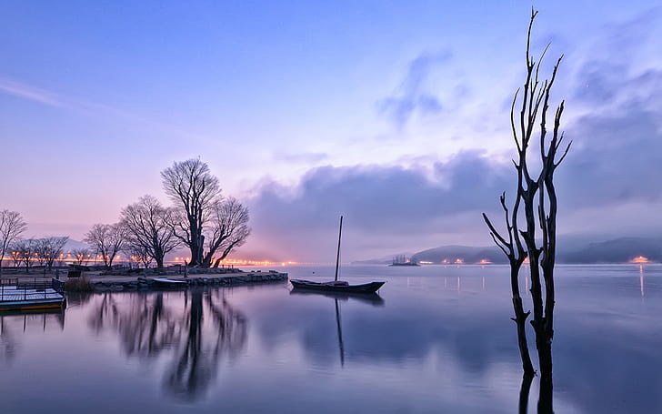 Early morning, dawn, lights, lake, reflection, boat, trees, fog, silhouette of tree