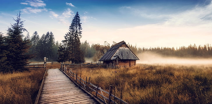 house near trees, nature, landscape, cabin, mist, fall, forest, HD wallpaper