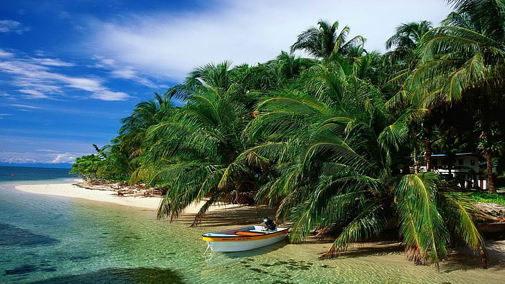 Photography, Beach, Bocas Del Toro, HD wallpaper
