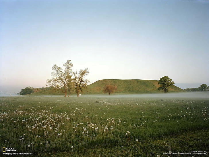 National Geographic, landscape, rock formation, dandelion, Illinois, HD wallpaper
