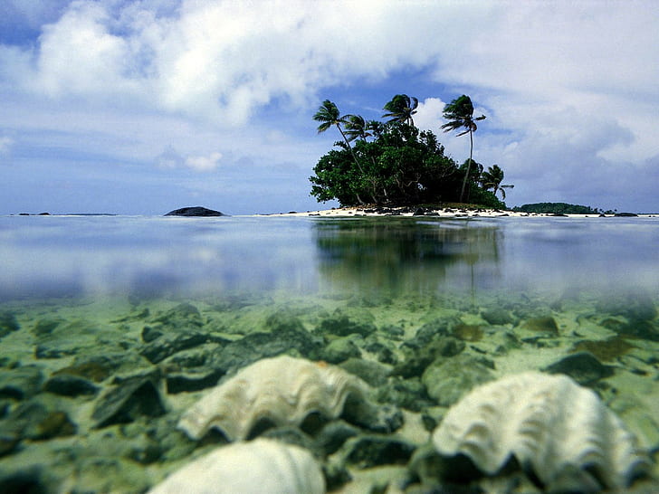 landscape, sea, tropical, island, palm trees, HD wallpaper
