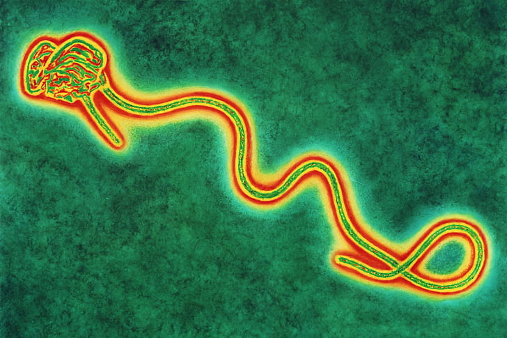 HD wallpaper: dark, ebola, horror, medical, virus | Wallpaper Flare