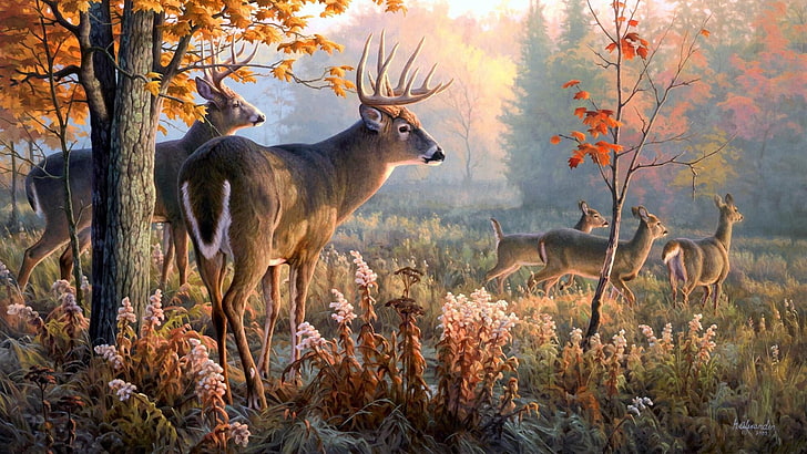 wildlife, deer, painging, fauna, artwork, wilderness, white tailed deer, HD wallpaper